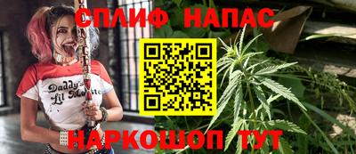 гидра Камышлов