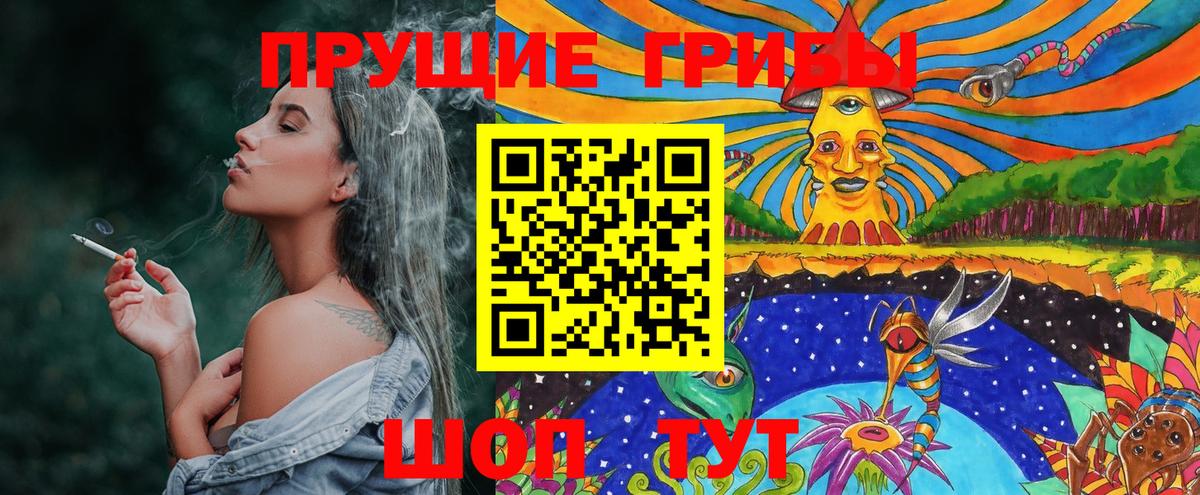 Шебекино  Галлюциногенные грибы Magic Shrooms  Галлюциногенные грибы Magic Shrooms  купить наркотик  Вход с VPN 